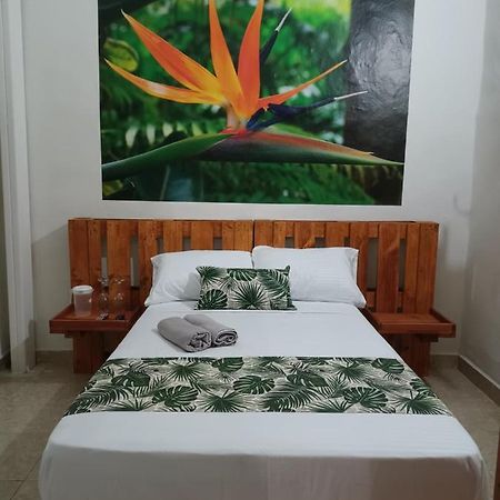 Hospedajes El Jardin Envigado Exteriér fotografie