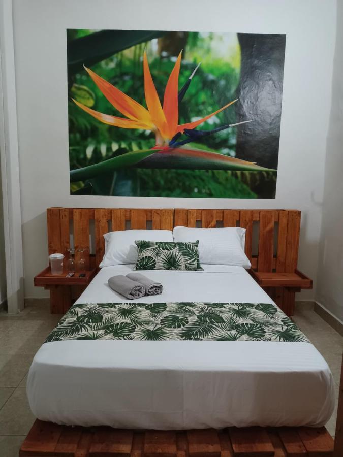 Hospedajes El Jardin Envigado Exteriér fotografie