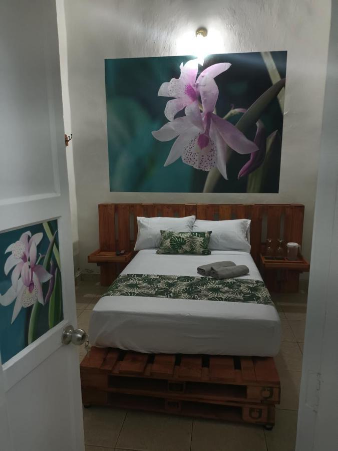 Hospedajes El Jardin Envigado Exteriér fotografie